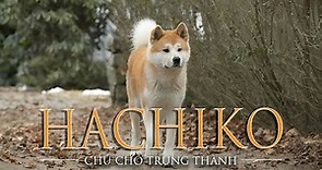 Chú chó trung thành đợi chủ 10 năm | Recap Xàm: Hachi: A Dog s Tale