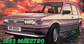 Austin Maestro MG Maestro 1983 review