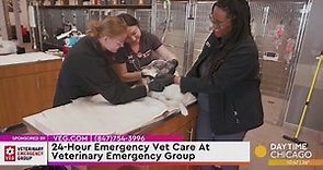 24-Hour Emergency Vet Care At Veterinary Emergency Group