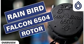 Rain Bird Falcon 6504 Series 1-inch Rotor