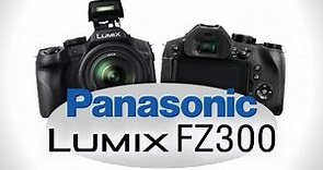 Panasonic Lumix DMC-FZ300 - Hands-on Preview by Cameta Camera