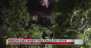 Person dies when tree falls on home