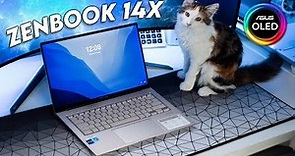 Asus Zenbook 14X OLED Review | Portability & Performance