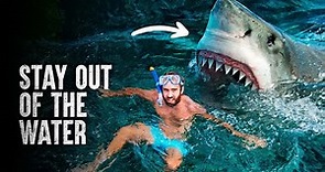 How I Survived a Shark Attack