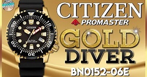 New Citizen Promaster 200m Gold Diver BN0152-06E Unbox & Review Plus ALL The Other Promaster Colors!