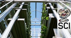 How Vertical Farms Bring Fresh Food To Booming Cities
