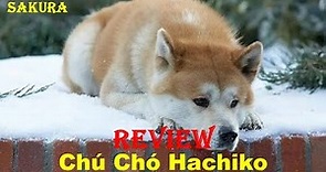 REVIEW PHIM CHÚ CHÓ TRUNG THÀNH HACHIKO || HACHIKO A DOG IS STORY || SAKURA REVIEW