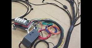 CA18DET Wiring Harness Overview by Wiring Specialties