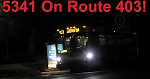 NeoplanDude | NJ Transit 2008 NABI 416.15 (Musical ZF) #5341 On Route 403, To Turnersville!