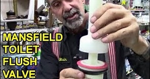 Easy Mansfield Toilet Flush Valve Gasket Repair, Replace Seal, Handle Fix